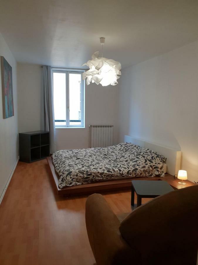 Grand Appartement En Centre Ville Мец Екстер'єр фото